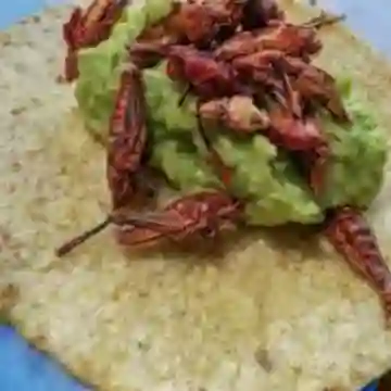 Taco Chapulines