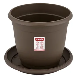 Nativa Matera Génova Wengue Con Plato 26 cm x 23 cm
