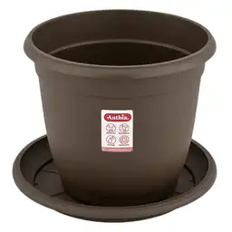 Nativa Matera Génova Wengue Con Plato 26 cm x 23 cm