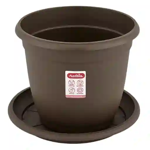 Nativa Matera Génova Wengue Con Plato 26 cm x 23 cm