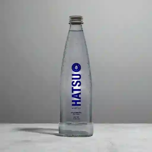Agua Hatsu Sin Gas 300 ml