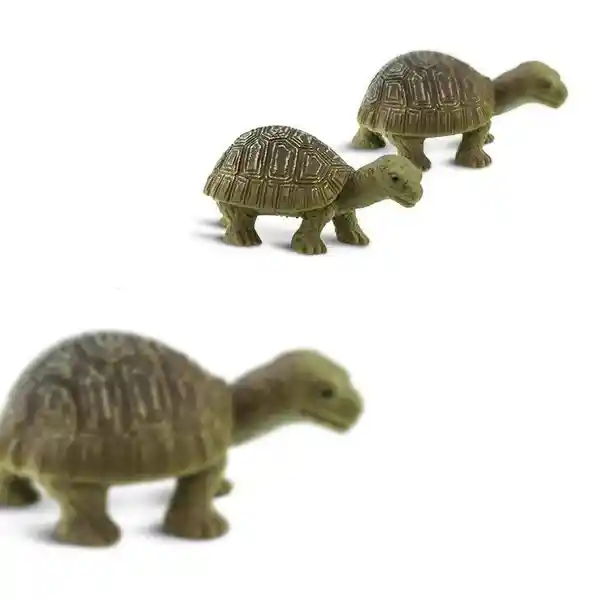 Mini Safari Figura Coleccionable Tortuga Terrestre Mini