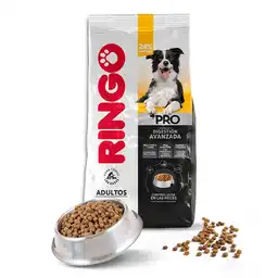 Ringo Alimento Para Perro Pro Adultos