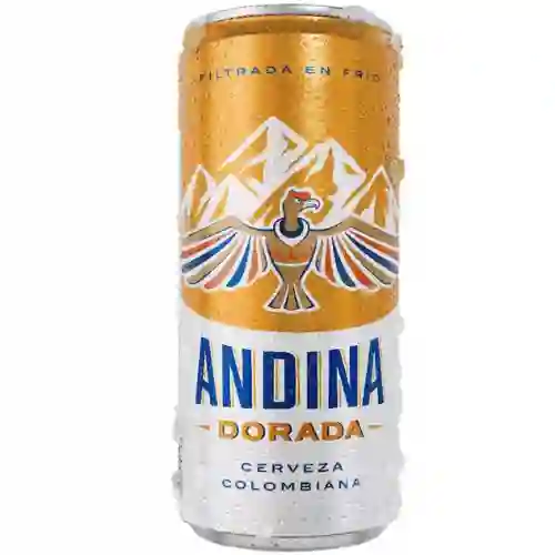 Andina Lata 310Ml