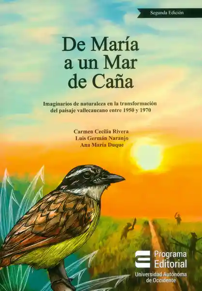 De María a un Mar de Caña. Imaginarios de naturaleza en la transformación del paisaje vallecaucano entre 1950 y 1970 (Segunda Edición)