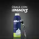 GILLETTE Foamy Sensitive Espuma de Afeitar Ideal para Hombres con Piel Sensible Afeitadas sin Irritación 322 mL