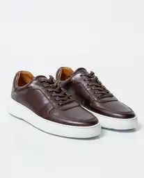 Tenis Smart Heritage Masculino Café Tostado Medio 39 Chevignon