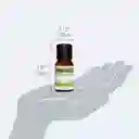 Homedics Aceite Esencial Aroma Eucali ARMH-EO15EUC