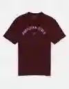Camiseta Hombre Vinotinto Talla MEDIUM 4290613 American Eagle