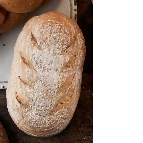 Pan Masa Madre