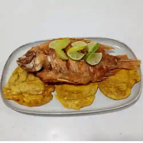 Mojarra