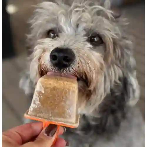 Helados Especiales para Perritos