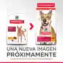 Hills Alimento Para Perro Adulto 5 Lb