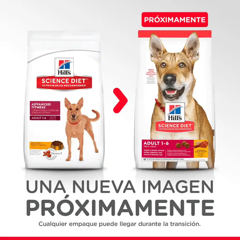 Hills Alimento Para Perro Adulto 5 Lb