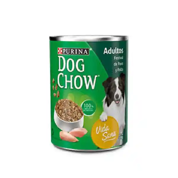 Dog Chow Alimento Para Perro Festival de Pavo y Pollo 374 g