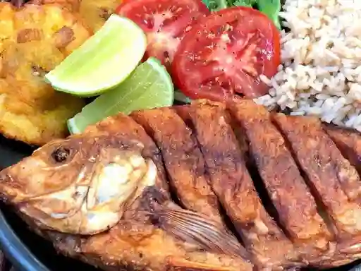 Tilapia Frita