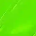 Pébéo Pintura Óleo Fino Studio xl Verde Inglés Claro 37 mL