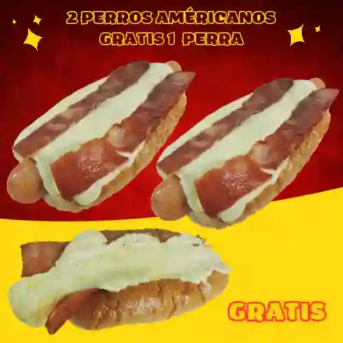 2 Perros Americanos 1 Perra Gratis