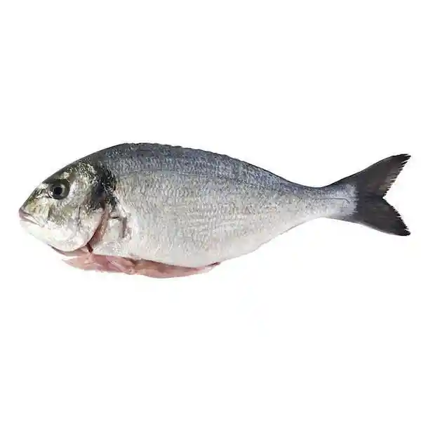 Dorada