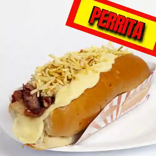 Perrita