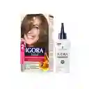 Tinte Igora Vital 6-00 Ruibio Oscuro + Oxigenta Gratis
