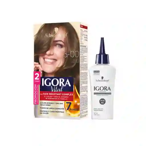 Tinte Igora Vital 6-00 Ruibio Oscuro + Oxigenta Gratis