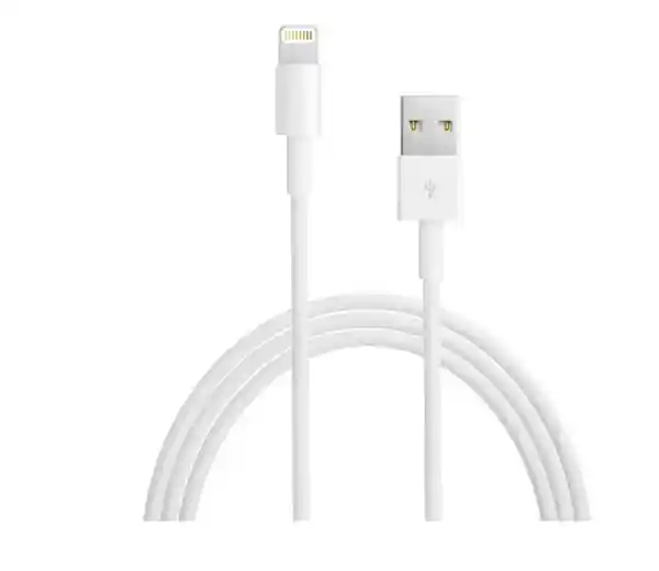 Apple Cable Lightning a Usb Original 2 m