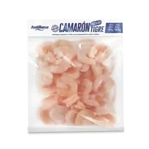 Antillana Camarón Tigre Precocido