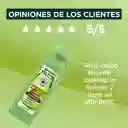 Shampoo Hair Foof Garnier Aguacate Nutrición 300 mL
