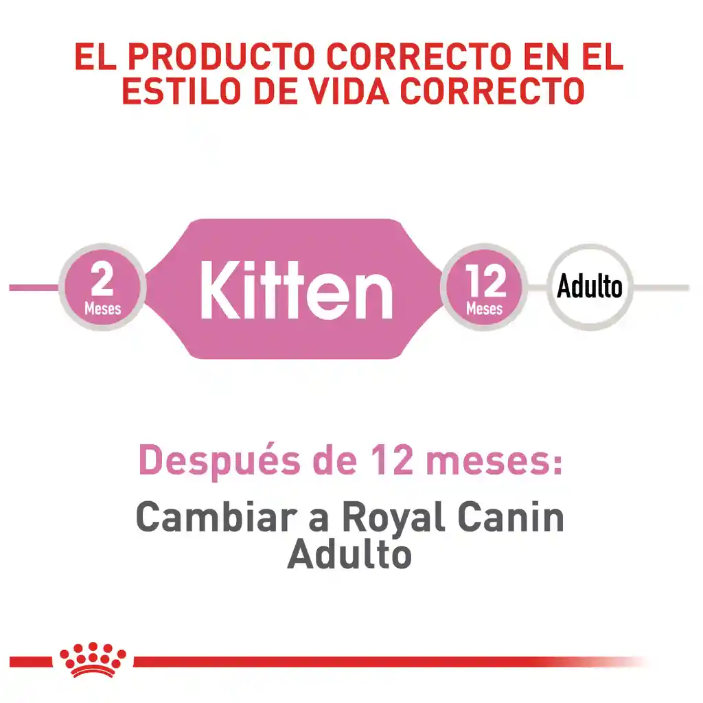 Royal Canin Alimento para Gato Health Nutrition Dry Kitten 