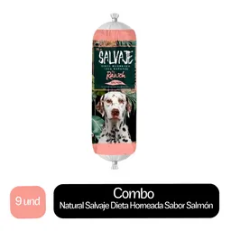 9 x Natural Salvaje Alimento Para Perro Dieta Horneada Sabor Salmon