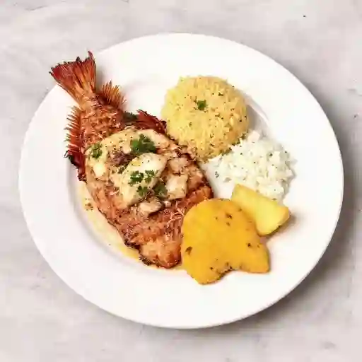 Ejecutivo con Mojarra Roja