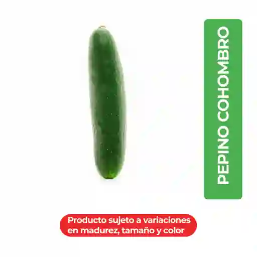 Pepino Cohombro
