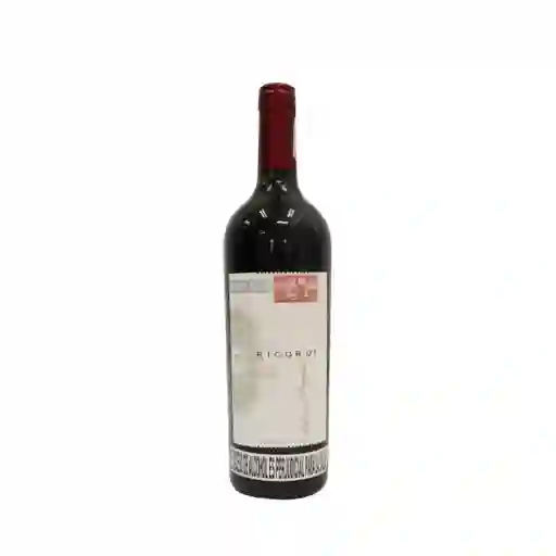Ricordi Vino Tinto Malbec Roble