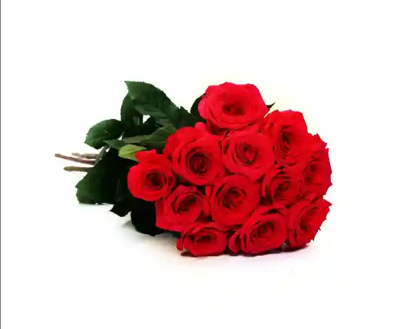 Bouquet Rosas Rojas Premium