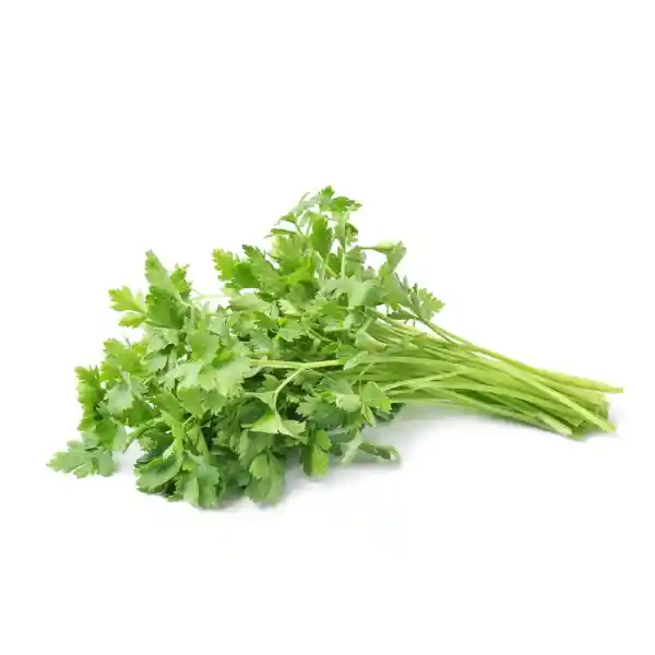 Cilantro