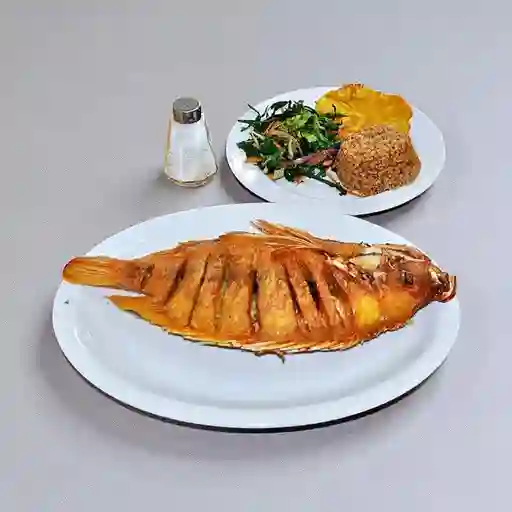 Mojarra Especial