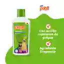 Petys Shampoo de Mascota con Repelente de Pulgas