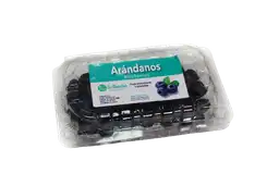 Arándano