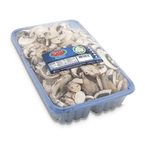 Setas Champiñón Tajado
