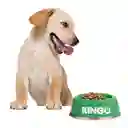 Ringo Alimento Para Perro Original Cachorros
