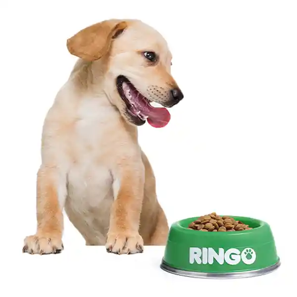 Ringo Alimento Para Perro Original Cachorros