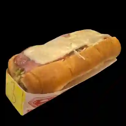 Perro Especial