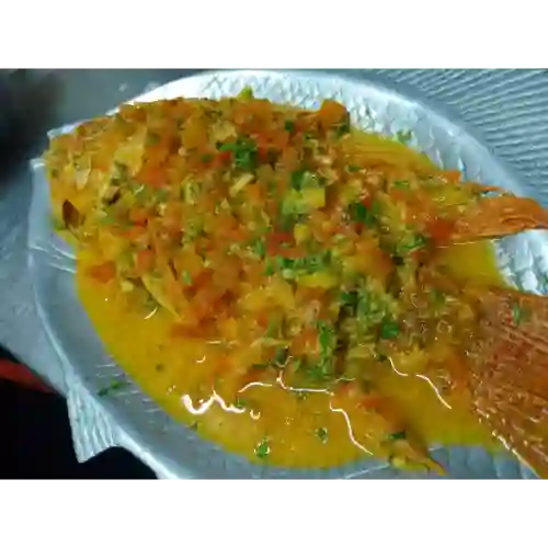 Mojarra Chucu Chucu