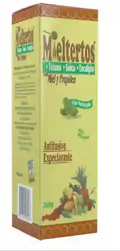 Mieltertos Jarabe Sabor a Mentol