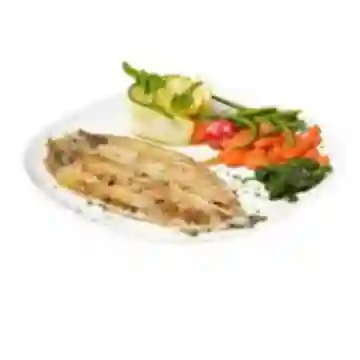 Timbal de Corvina