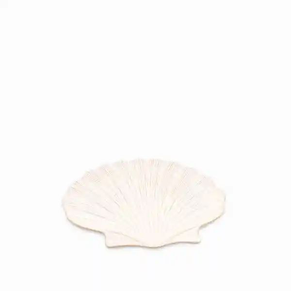 Plato Concha 32.8 cm Ambiente Gourmet