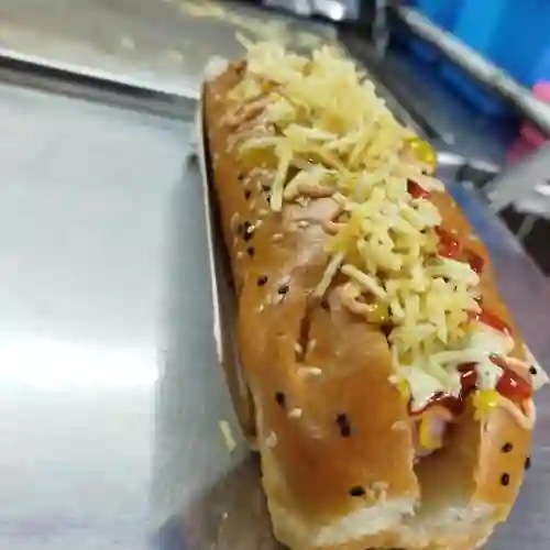 Perro Sencillo