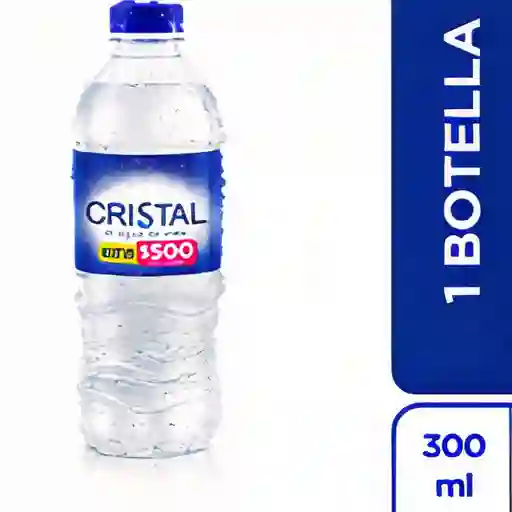Botella de Agua 300Ml