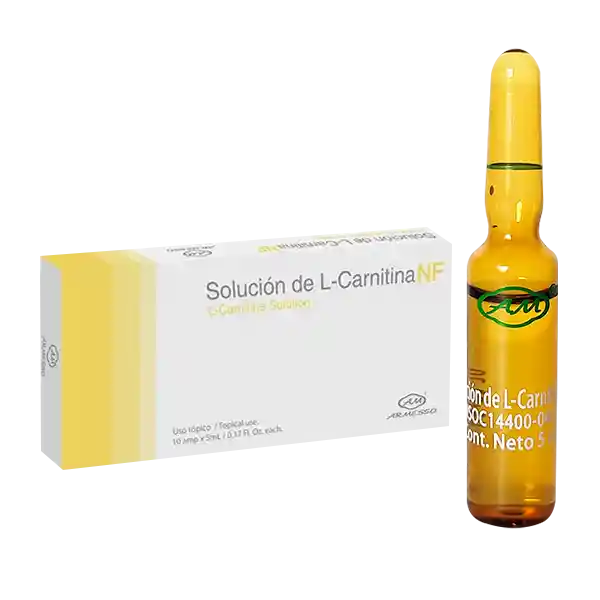 Armesso Solución L-Carnitina Ampolla x 10 Unidades